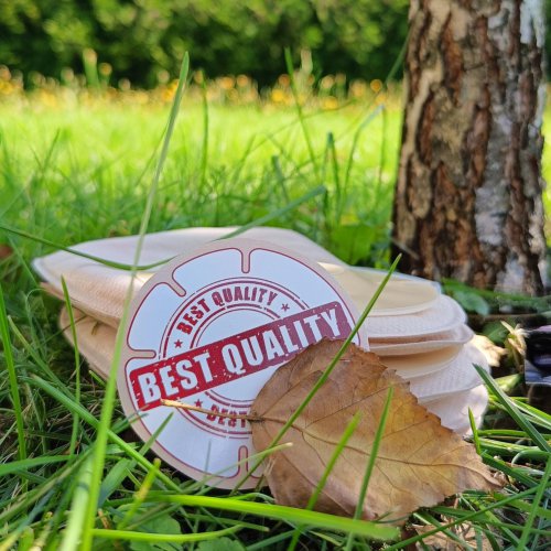 Stomik i wybór sprzętu – prawo, a nie przywilej