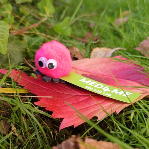 Stomia  czym się różni opcja: na zawsze i czasowo