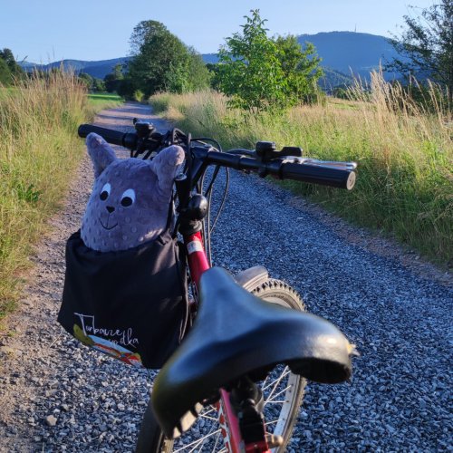 S  jak SPORT  to w końcu, można czy nie można?